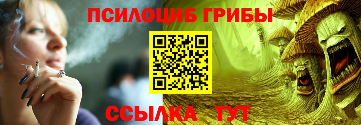 купить наркотик  Вход с VPN  Сергиев Посад  Псилоцибиновые грибы мицелий 